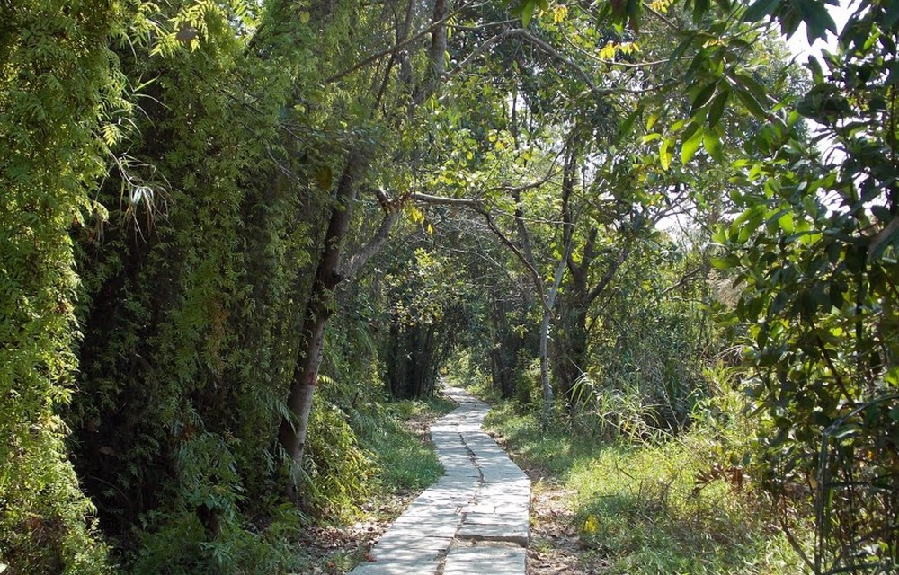 Pathiramanal Island